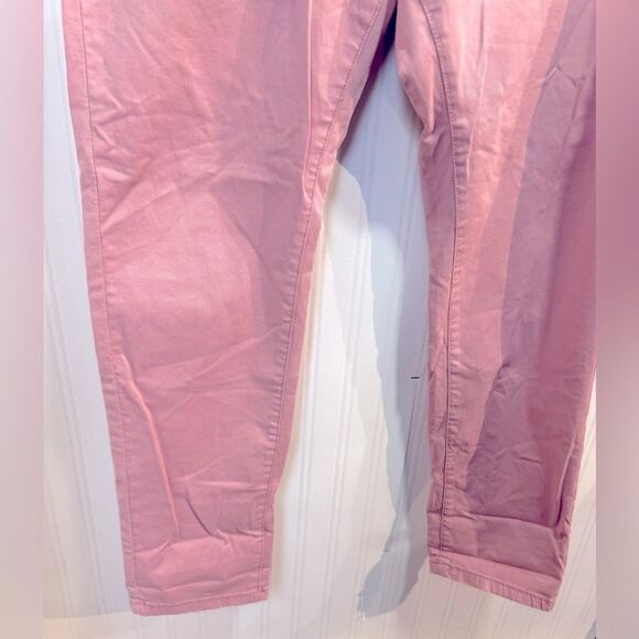 Anthropologie Pilcro pants Sz 30 - Picture 2 of 7